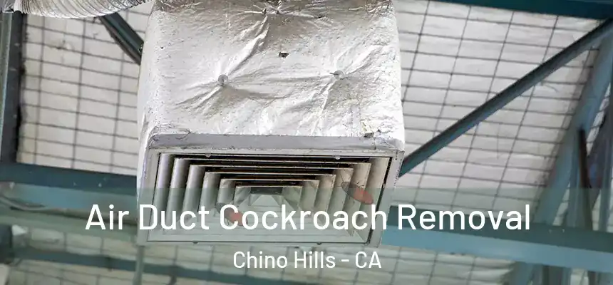 Air Duct Cockroach Removal Chino Hills - CA