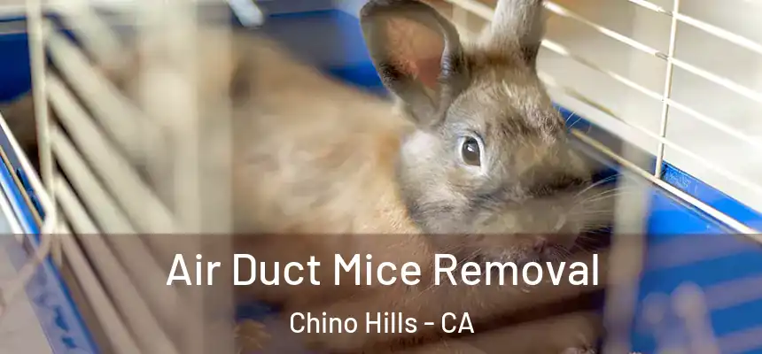 Air Duct Mice Removal Chino Hills - CA