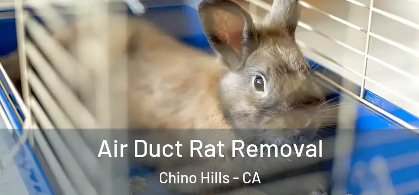 Air Duct Rat Removal Chino Hills - CA