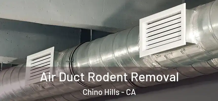 Air Duct Rodent Removal Chino Hills - CA