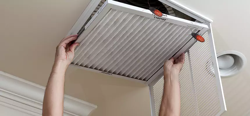 Our Insect Removal from Air Ducts Services in Chino Hills, CA