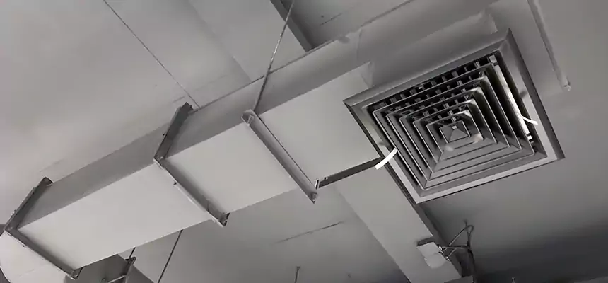 Our Pest Removal From Ducts Services in Chino Hills, CA