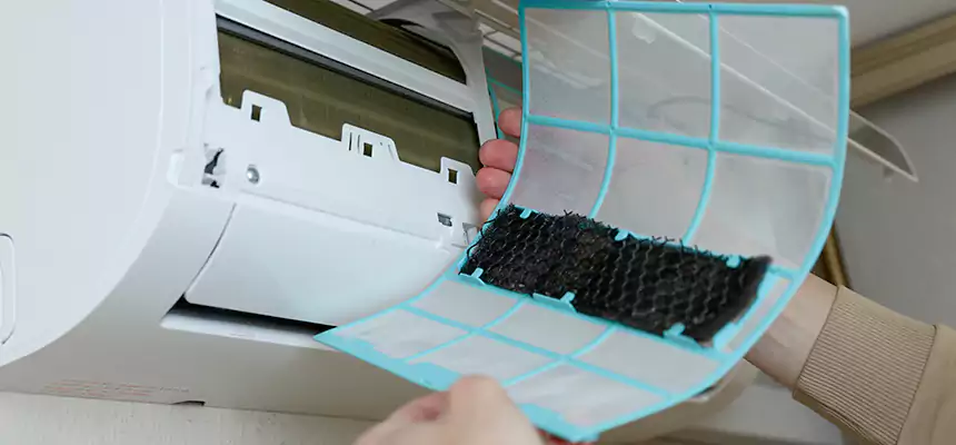 Gentle Ductwork Odor-Control Pet Dander Duct Cleaning in Chino Hills, CA