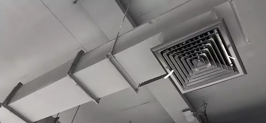 Our Rodent Droppings In Vents Services in Chino Hills, CA