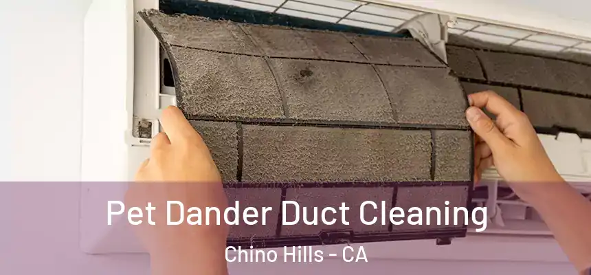 Pet Dander Duct Cleaning Chino Hills - CA