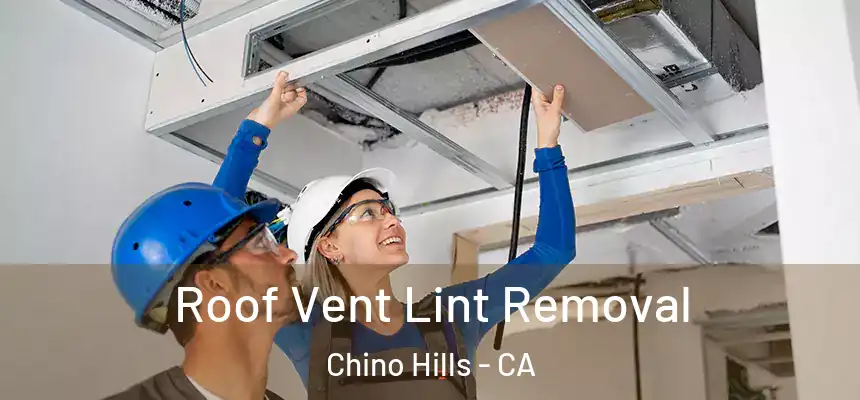 Roof Vent Lint Removal Chino Hills - CA
