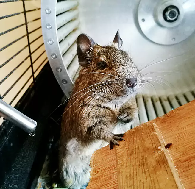 Why Homeowners & Businesses Trust Us Chino Hills, CA