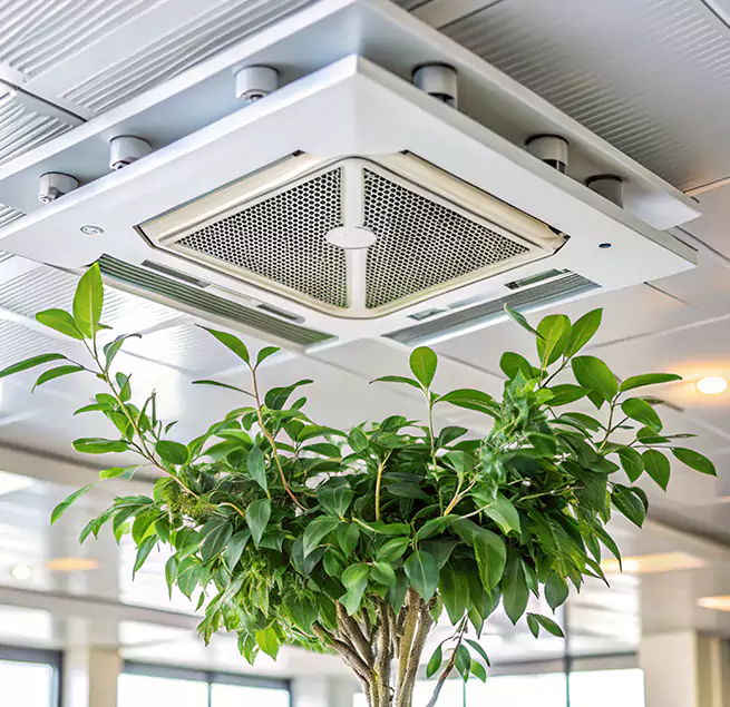 Why Homeowners & Businesses Trust Us in Chino Hills, CA