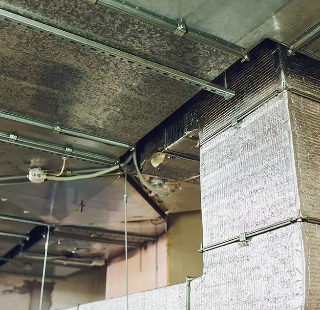 Why Homeowners & Businesses Trust Us in Chino Hills, CA?